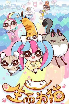 贵溪门户网站seo优化